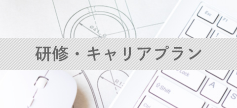 研修・キャリアプラン